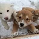뽀송뽀송