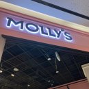 신세계 애견미용샵 이미지