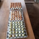 소을농장 이미지