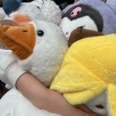 봉곡로23길-8 | 구미 산책로 다니면서 산책한 일상