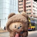 웰컴돈막스 이미지