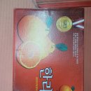 당진 유도관 이미지