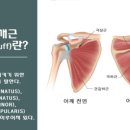 준피티샵 이미지