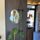 오송가든 | [오송] 청주오송 오송맛집 경양식 돈까스 맛집 방문후기 '쁘레'