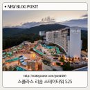 호텔굿즈무인텔 | 스플라스리솜 스테이타워 S25 콘도 타입 내돈내산 숙박후기