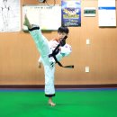 무무관화랑합기도 이미지