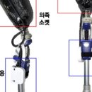 두발로걷자