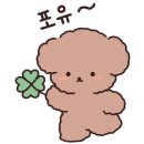 비비펫살롱 이미지