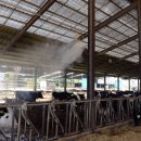 홍주축산 이미지