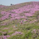 제97차 동문산악회 황매산 산행공지 이미지