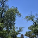 백제가공 | 익산 백제유적지구 완전 정복: 왕궁리, 미륵사지, 그리고 국립익산박물관