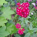 승희농장 이미지