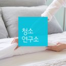생활연구소 조선비즈