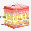 소담피부샵