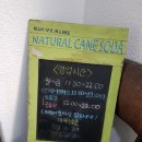 연희중식