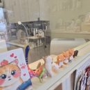 무마취 고양이 미용실 반할고양 이미지