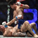 국가대표 태권 스포츠 이미지