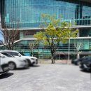 지앤티 | 상무지구 카페 김대중컨벤션 근처 카페지앤티 컨벤션점