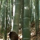 남도 행정사 사무소 이미지