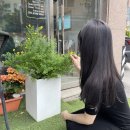 클라우썸헤어 - 30180 | 추천 : 클라우썸헤어 솔직후기❤️ 그레이 염색, 클리닉 성공 후기 ‼️❤️ 예비신부 웨딩 헤어/ 능평리 미용실...