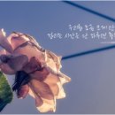 폰트생각