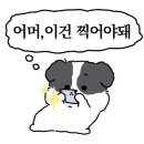 할머니냉면분점1호 이미지