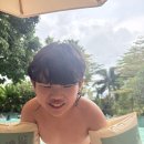 (주)호텔하나 | 발리여행 : 발리 우붓 동물원 발리주, 산투 스위트 호텔 투숙 후기