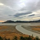 순천만습지 | [순천] 순천만습지 방문 후기