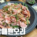 닭장애웬오리청주