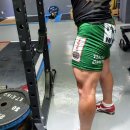 대전 스트렝스 이미지