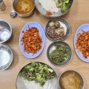 금산식당 | 안산 회무침 맛집 금산식당 밴댕이회무침 솔직후기