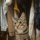 한빛마을4단지 운정롯데캐슬파크타운2차 이미지