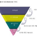 돼지사수