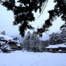 오저초교 이미지