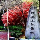 치악산자연휴양림 이미지