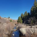 우드캐슬 이미지