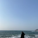 태안 바람쐬러 가기 좋은 곳 - 신두리해안사구, 파도리해수욕장, 해식동굴, 몽산포제빵소, 라파엘로펜션