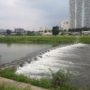 왕숙천 자전거도로15 이미지