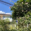 민턴민박 이미지