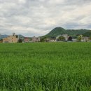 신천1리마을회관 이미지