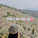 남열농장 네이버블로그