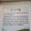 애뜰 | 대구 달서 소애뜰본점 솔직 후기 | 성서맛집 성서공단맛집 대구찜갈비맛집 대구소고기맛집 추천!