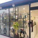 이누펫살롱 이미지