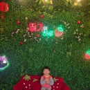 또또농장 | 인천딸기농장 딸기의하루 아이랑 가볼만한곳 딸기따기 체험하러간 후기