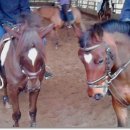 은비랜드 이미지