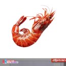 시원항병원 이미지