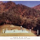 정선전씨 중시조 旌善君 諱 愃 (全 愃) 시향 이미지