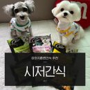 상관중학교 | 강아지훈련 간식 추천 시저간식 한입 크기여서 너무 좋아요