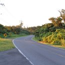 아랑조아 이미지