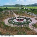 국도13호선 가로수 네이버블로그
